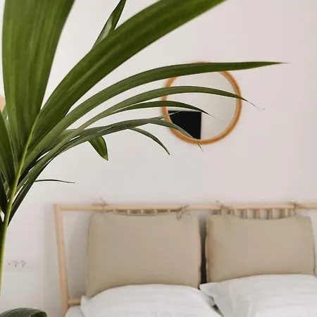 Apartament Litore Pula