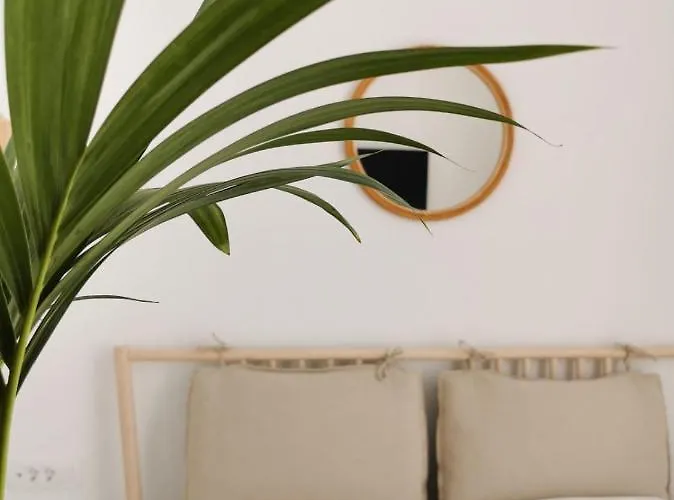 Apartman Litore Póla